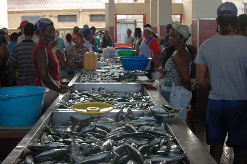 Der Fischmarkt in Mindelo